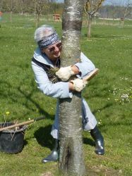 Baumpflegeaktion  2010 23